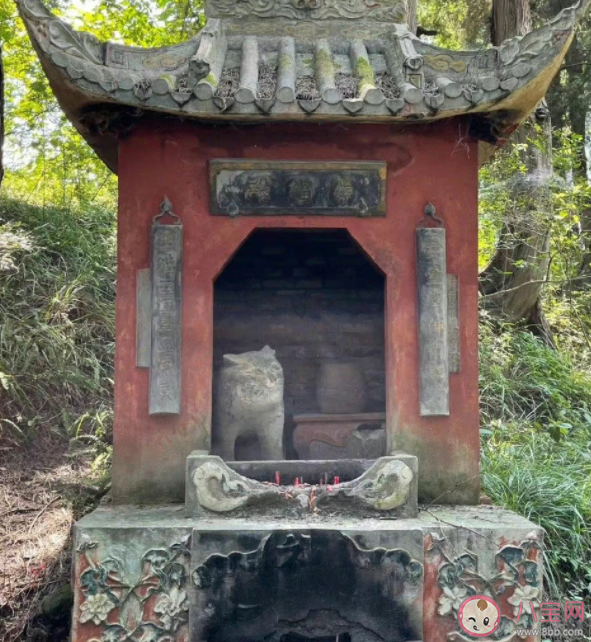 《中國奇譚》小貓廟原型是哪里 小貓廟是什么時候存在的 《中國奇譚》小貓廟原型是哪里 小貓廟是什么時候存在的