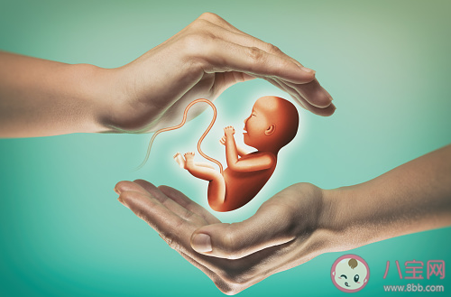 任澤平放開(kāi)并鼓勵(lì)生育刻不容緩 怎樣提高人們的生育意愿