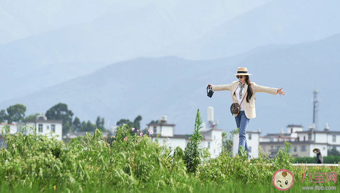 《去有風的地方》大結局是什么 結局有哪些看點