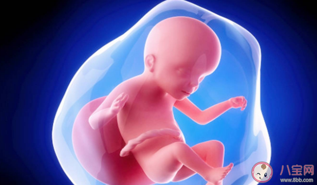 孕晚期喝椰青水可以使羊水變清澈嗎 如何保持羊水清澈 孕晚期喝椰青水可以使羊水變清澈嗎 如何保持羊水清澈