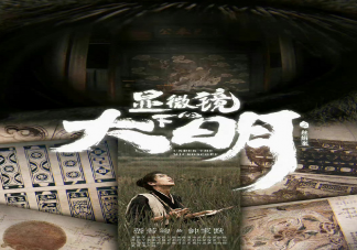 《顯微鏡下的大明》原著是什么 帥家默結局是什么