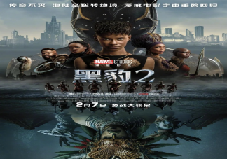 《黑豹2》好看嗎 《黑豹2》影評(píng)觀后感