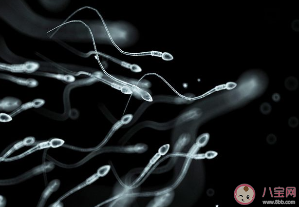 云南省人類精子庫倡議大學(xué)生捐精 如何在日常生活中改善精液質(zhì)量