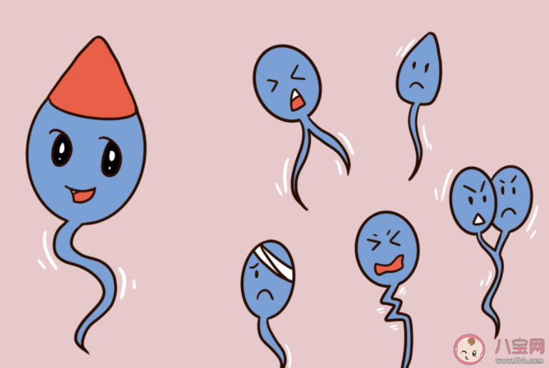 云南省人類精子庫倡議大學(xué)生捐精 如何在日常生活中改善精液質(zhì)量