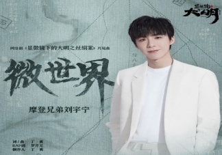 劉宇寧《微世界》歌詞是什么 《微世界》完整版歌詞內容