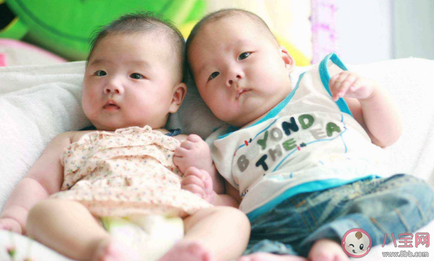 為何同卵雙胞胎指紋不同 同卵雙胞胎健康狀況一樣嗎