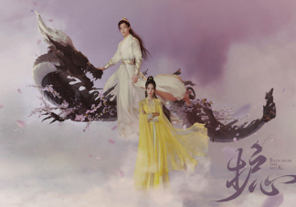 《護心》根據什么小說改編的 雁回天曜結局是什么