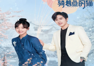 《騎著魚的貓》改編自什么小說 《騎著魚的貓》人物關系介紹