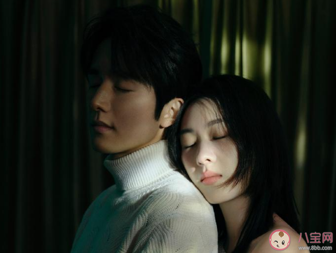 《微暗之火》是根據(jù)什么小說改編的 南雅周洛結(jié)局是什么