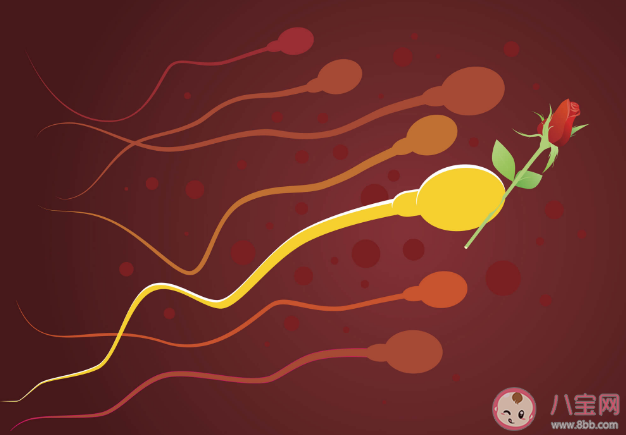 男性禁欲會把身體憋壞嗎 長期禁欲精子質(zhì)量會變好還是變差