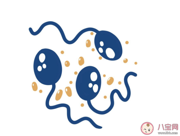 男性禁欲會把身體憋壞嗎 長期禁欲精子質(zhì)量會變好還是變差