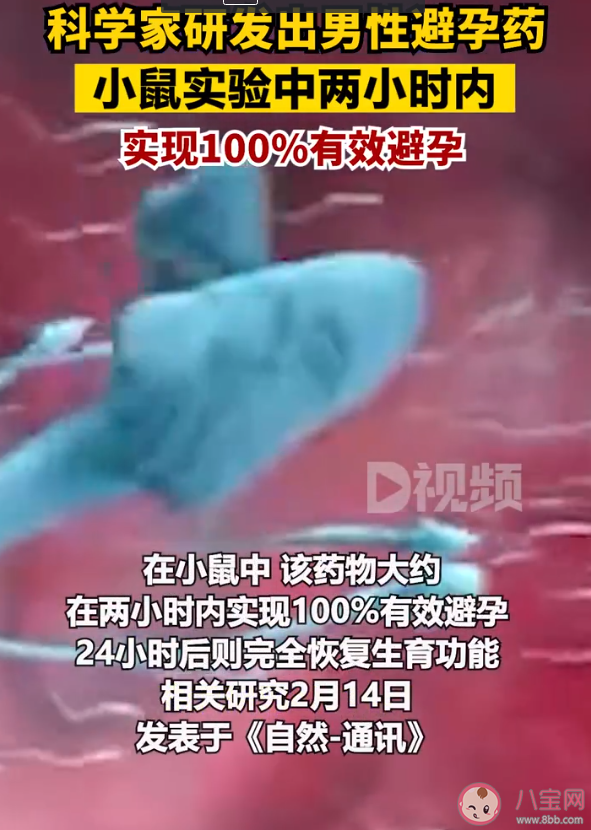 科學家研發出男性避孕藥了嗎 男性避孕藥有效期是多久