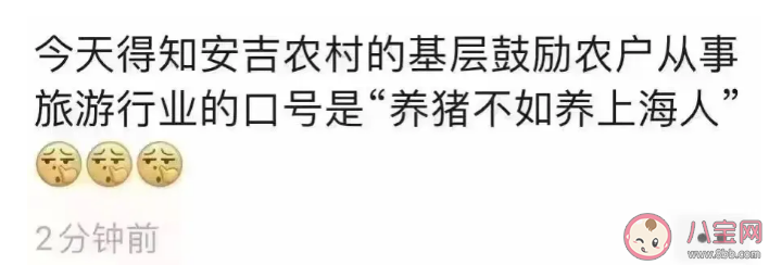 養(yǎng)豬不如養(yǎng)上海人是什么梗 如何看待這個說法