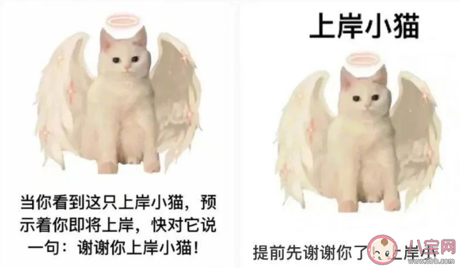 為什么年輕人開始沉迷于玄學 如何看待年輕人求運氣