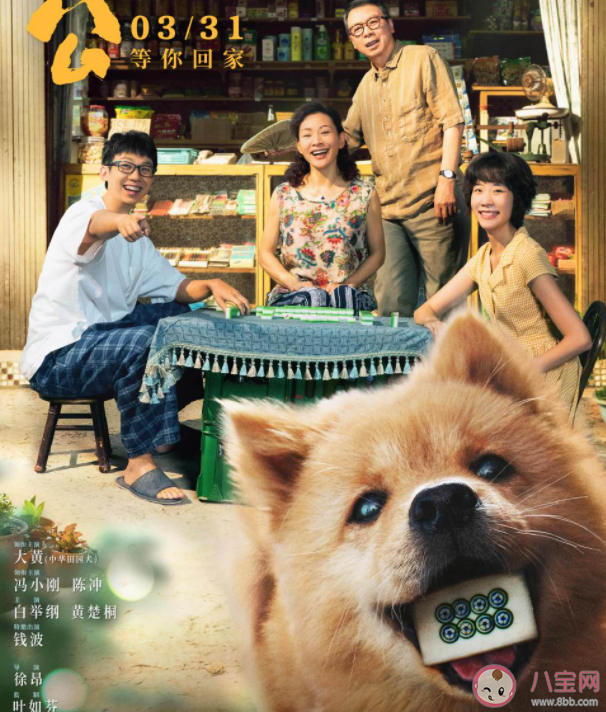 電影《忠犬八公》定檔什么時(shí)候上映 《忠犬八公》講的是什么故事 電影《忠犬八公》定檔什么時(shí)候上映 《忠犬八公》講的是什么故事
