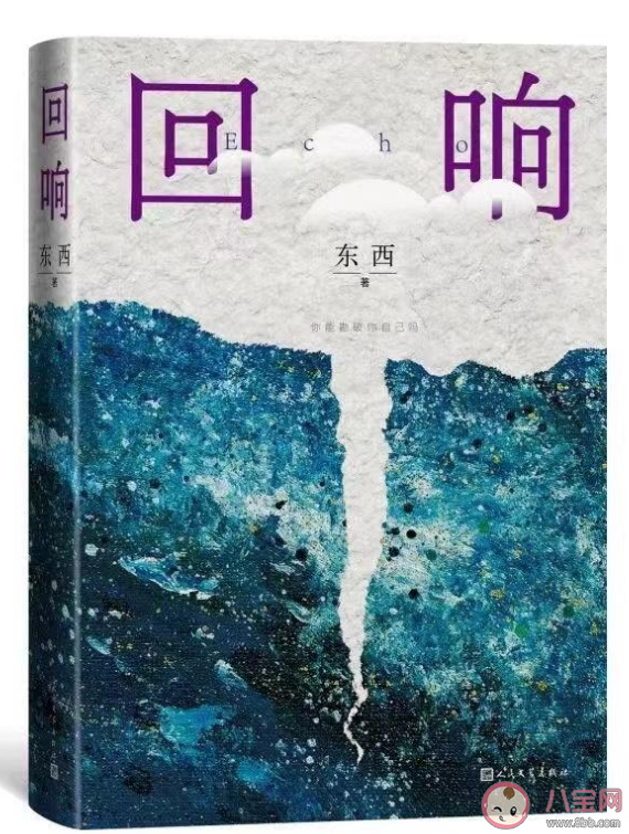 《回響》是根據什么小說改編的 《回響》人物關系介紹