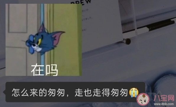 關于不回消息的文案句子 不回消息發瘋文案合集