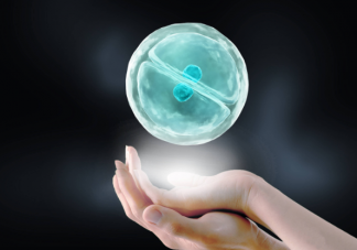 就開放單身女性凍卵征求專家意見是怎么回事 凍卵該放開嗎