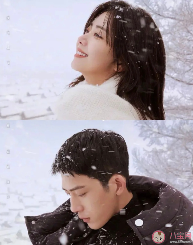 《歸路》人物關系是怎樣的 《歸路》拍攝地在哪 《歸路》人物關系是怎樣的 《歸路》拍攝地在哪