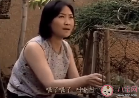 兔子喂了嗎是什么梗 兔子喂了嗎梗的出處是什么