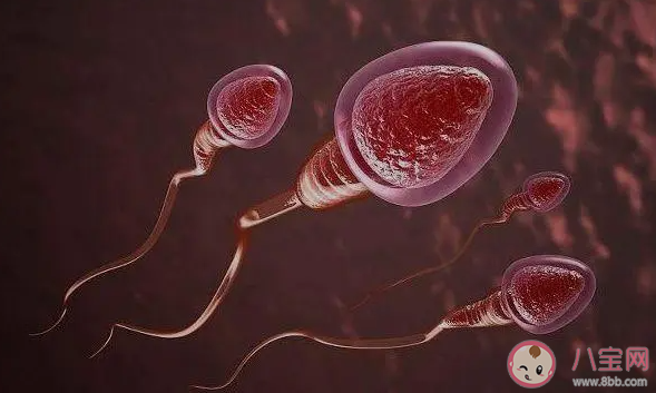 研究稱男性也有最佳生育年齡 高齡會降低男性生育力嗎