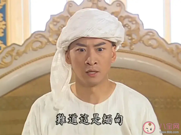 爾康去了緬甸都回不來是什么梗 爾康去了緬甸都回不來出處是什么