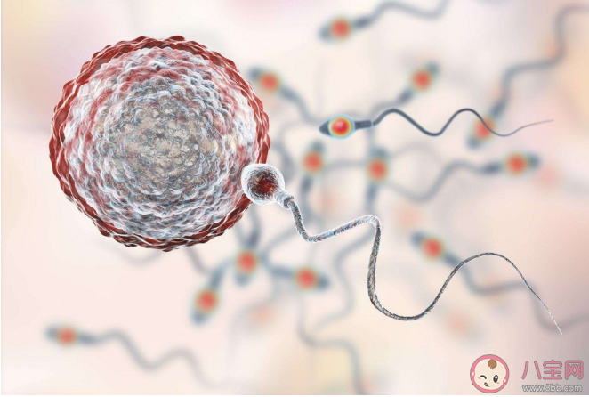 全球男性精子量告急是怎么回事 精子危機要來了嗎