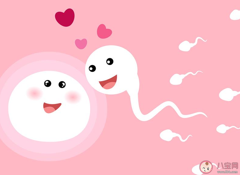 全球男性精子量告急 男性精子量為什么會下降 全球男性精子量告急 男性精子量為什么會下降