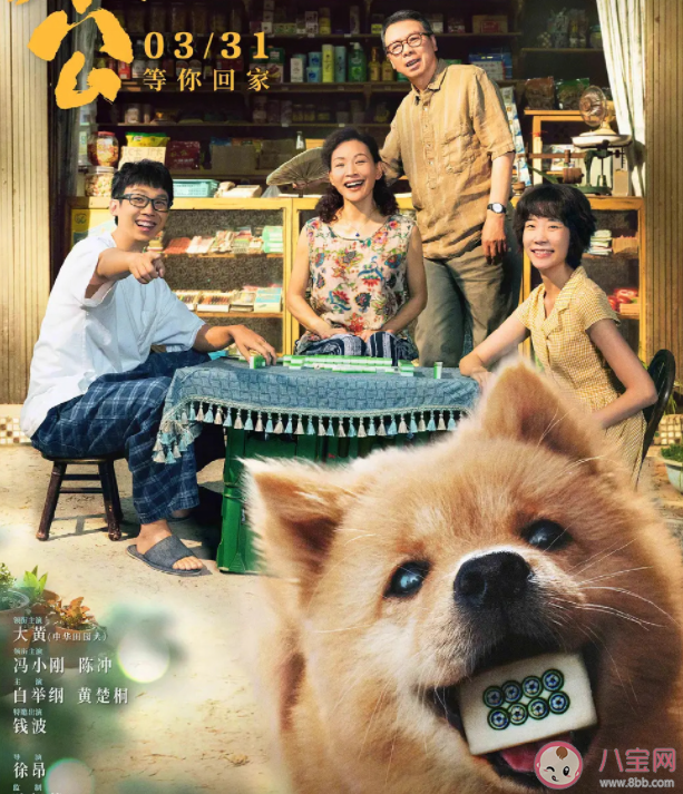 《忠犬八公》影評(píng)美篇 《忠犬八公》好不好看