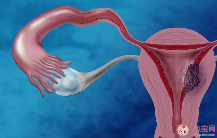 試管嬰兒技術(shù)發(fā)展到哪一步了 在做試管嬰兒前如何調(diào)理身體