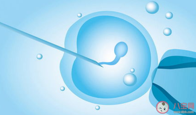 試管嬰兒技術(shù)發(fā)展到哪一步了 在做試管嬰兒前如何調(diào)理身體