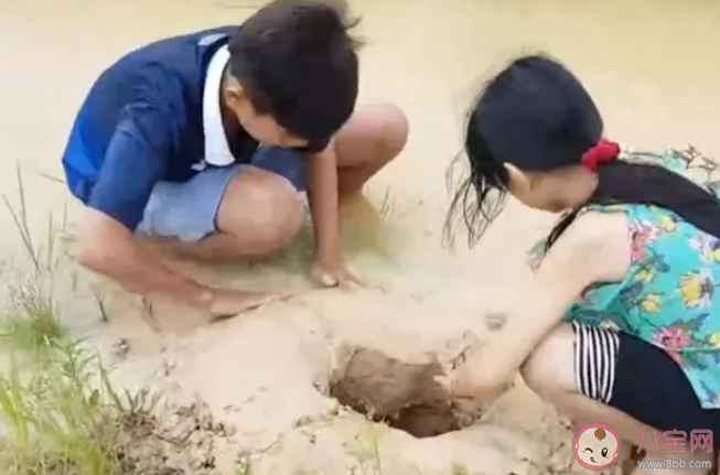 群眾生育觀念已轉向少生優育了嗎 為什么人們的生育觀變了