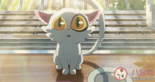 如何看待大臣貓的犧牲 你喜歡大臣貓嗎 如何看待大臣貓的犧牲 你喜歡大臣貓嗎