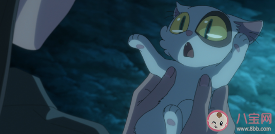 如何看待大臣貓的犧牲 你喜歡大臣貓嗎 如何看待大臣貓的犧牲 你喜歡大臣貓嗎