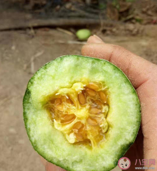 4點分清羊角蜜還是羊角脆 羊角蜜有什么營養