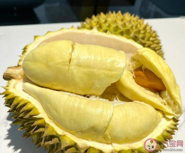 榴蓮一天最多吃幾個 榴蓮吃多了會怎樣