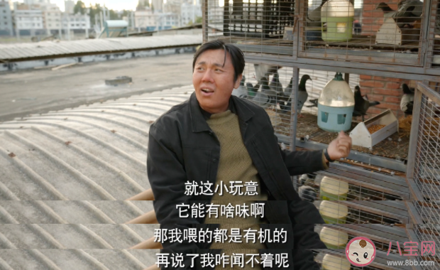 《漫長(zhǎng)的季節(jié)》追劇日歷 《漫長(zhǎng)的季節(jié)》劇情介紹