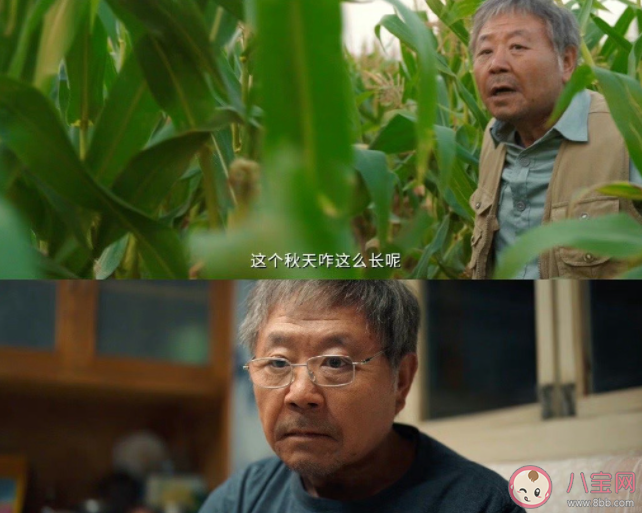 《漫長的季節(jié)》觀后感美篇 《漫長的季節(jié)》劇評