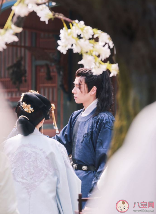 《惜花芷》原著小說內容是什么 《惜花芷》故事劇情梗概