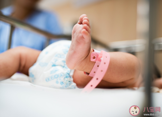 專家建議給生孩子的人發薪水 這個建議合理嗎 專家建議給生孩子的人發薪水 這個建議合理嗎