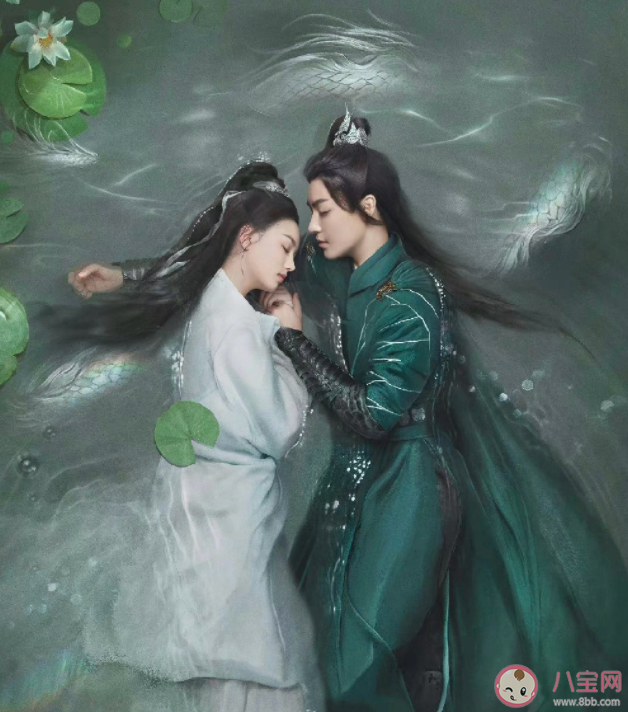 護心十五集前后不是一個編劇 護心一共有幾個編劇