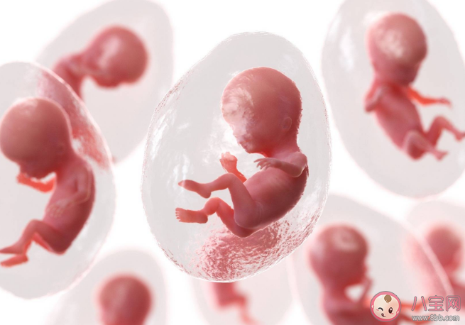 遼寧省輔助生殖或將進醫保是真的嗎 輔助生殖項目納入醫保為什么實施難 遼寧省輔助生殖或將進醫保是真的嗎 輔助生殖項目納入醫保為什么實施難