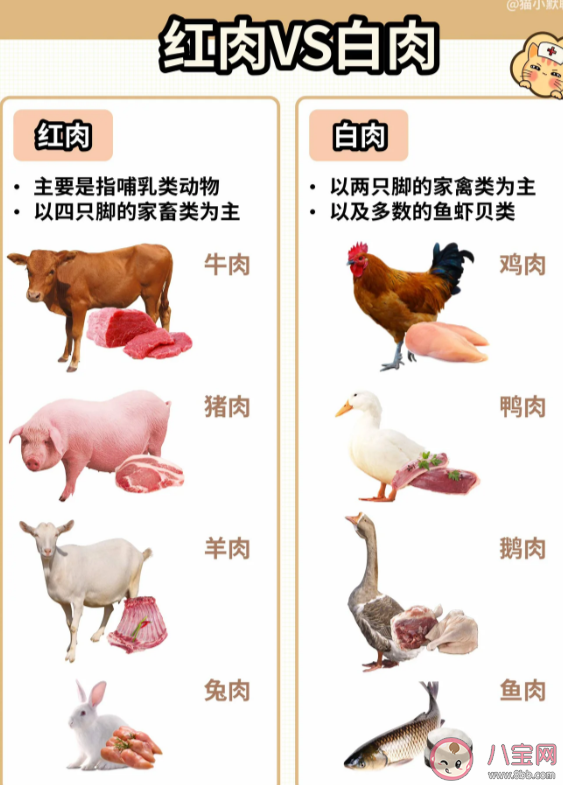 紅肉和白肉營養有什么區別 紅肉白肉怎么吃更健康