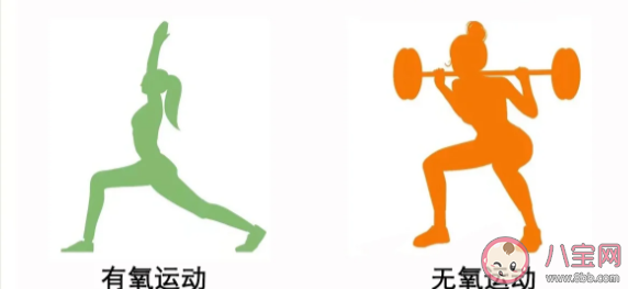 減肥為什么要循序漸進 有哪些公認的減肥技巧 減肥為什么要循序漸進 有哪些公認的減肥技巧