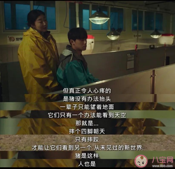 韓劇《壞媽媽》經典臺詞大全 《壞媽媽》令人印象深刻的戳心臺詞句子 韓劇《壞媽媽》經典臺詞大全 《壞媽媽》令人印象深刻的戳心臺詞句子