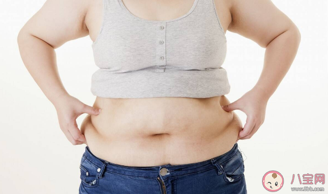 節食減肥反彈的原因找到了 節食減肥帶來的負面影響是什么