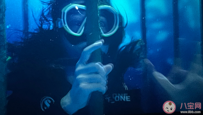 《消失的她》原型是什么 何非是一個怎樣的人