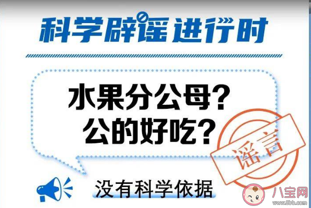 水果分公母嗎 常見水果副作用一覽 水果分公母嗎 常見水果副作用一覽
