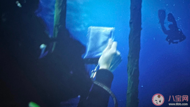 《消失的她》李木子的氧氣罐是自己拔的嗎 結(jié)尾何非后悔了嗎