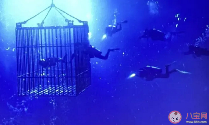 《消失的她》李木子的氧氣罐是自己拔的嗎 結(jié)尾何非后悔了嗎